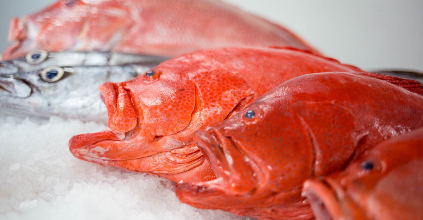 Fisch