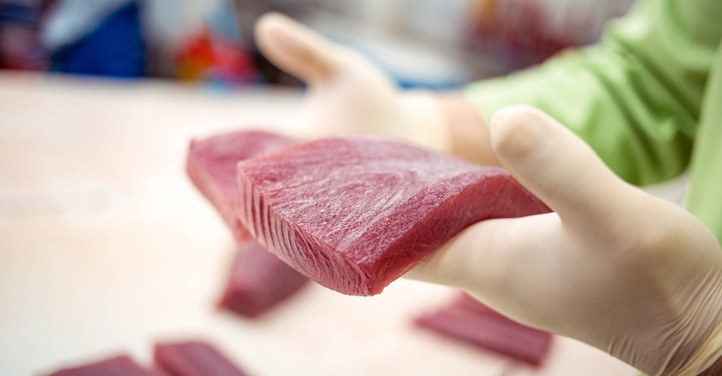 Thunfisch