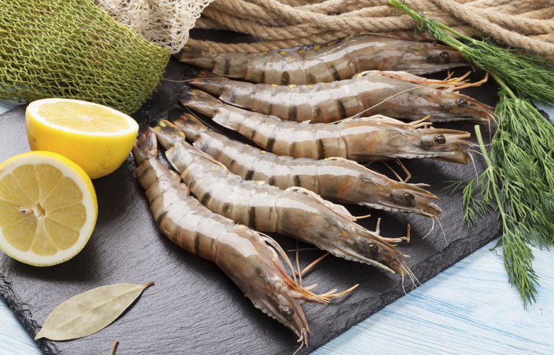 Ghorban Global | Garnelen