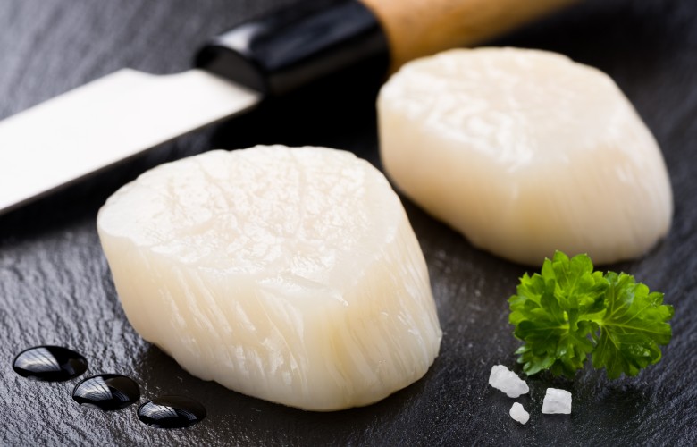 Ghorban Global | Jakobsmuscheln